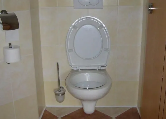 호텔 Ostrov Garni 3*